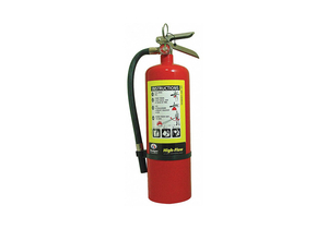 FIRE EXTINGUISHER DRY CHEMICAL BC 15 FT. by Badger