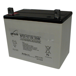 ENERSYS NP SERIES RECTANGULAR LEAD ACID BATTERY by ENERSYS