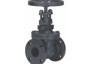 GATE VALVE CLASS 125 5 IN. CAST IRON by Milwaukee Valve