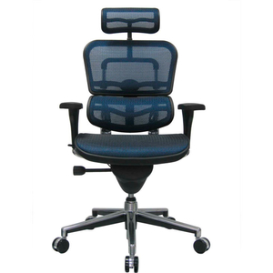 EUROTECH ERGOHUMAN EXECUTIVE HIGH BACK CHAIR - - BLUE MESH by Raynor Marketing