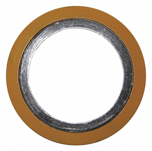 METAL GASKET 9-13/64 IN IN 11 IN OUT by Flexitallic