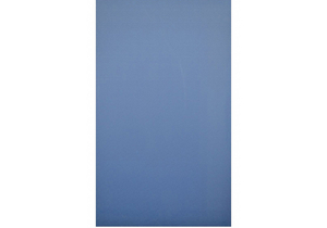 G3330 ADA DOOR POLYMER 36 W 55 H BLUE by Global Partitions