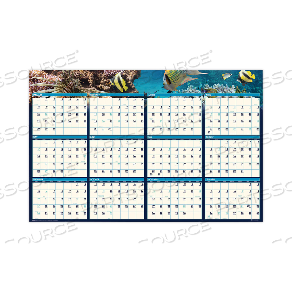 EARTHSCAPES RECYCLED REVERSIBLE/ERASABLE YEARLY WALL CALENDAR, SEA LIFE PHOTOS, 24 X 37, WHITE SHEETS, 12-MONTH(JAN-DEC):2023 by House Of Doolittle