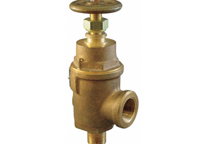 ADJUSTABLE RELIEF VALVE 3IN 50PSI BRONZE by Kunkle
