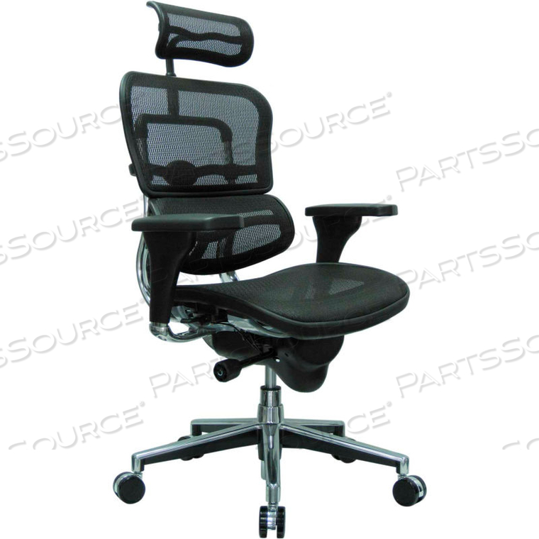 EUROTECH ERGOHUMAN EXECUTIVE HIGH BACK CHAIR - - BLACK MESH by Raynor Marketing EUROTECH ERGOHUMAN EXECUTIVE HIGH BACK CHAIR - - BLACK MESH by Raynor Marketing