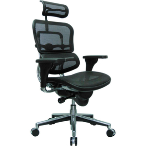 EUROTECH ERGOHUMAN EXECUTIVE HIGH BACK CHAIR - - BLACK MESH by Raynor Marketing