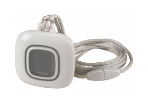 WATER RESISTANT PENDANT GRAY by Stanley Healthcare (STANLEY)