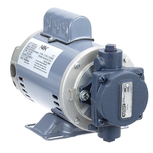 FILTER PUMP MOTOR, 1/2HP, 110-115V/220-230V by Henny Penny