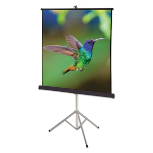 PORTABLE TRIPOD PROJECTION SCREEN by Quartet