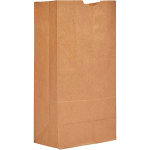 HEAVY DUTY PAPER GROCERY BAGS, #20, 8-1/4"W X 5-15/16"D X 16-1/8"H, KRAFT, 500 PACK by United Stationers Supply
