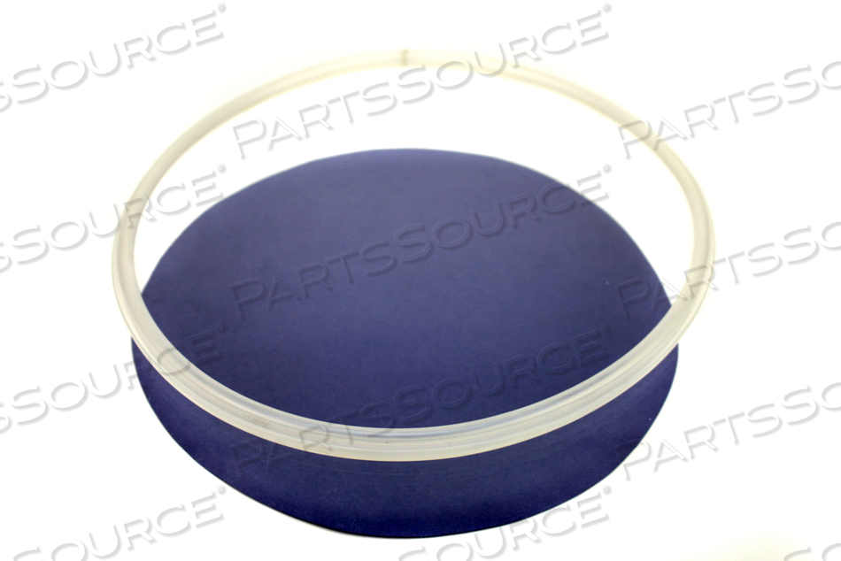 DOOR SEAL by Thermo Fisher Scientific (Asheville)