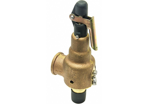 SAFETY RELIEF VALVE 2IN.X2-1/2IN. 30 PSI by Kunkle