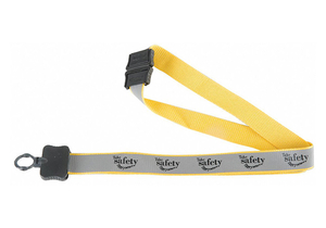 LANYARD TAKE SAFETY EVERYWHERE PK10 by Quality Resource Group