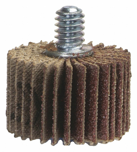 MOUNTED FLAP WHEEL THREADED 2 DIA. 1 W by Merit