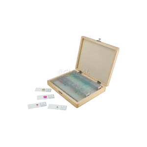 PREPARED MICROSCOPE SLIDES (100 PIECE SET) by Celestron Acquisition, LLC