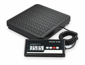 DIGITAL SHIPPING  RCVNG SCALE STEEL by Taylor