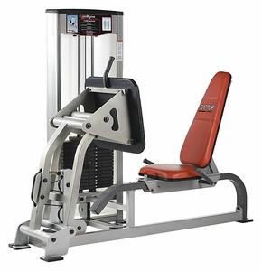 SEATED LEG PRESS RAPTOR SELCTOR STACK by Promaxima