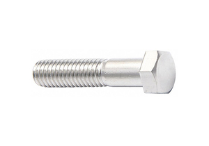 HEX CAP SCREW 5/16 -18 4 SS PK10 by Foreverbolt