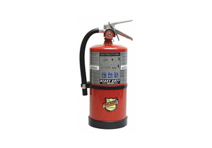 FIRE EXTINGUISHER ABC 10 LB. 16-3/4 IN.H by Buckeye