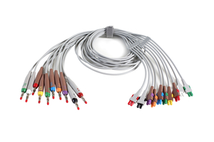 10 LEAD BANANA PLUG LEADWIRE SET by GE Medical Systems Information Technology (GEMSIT)
