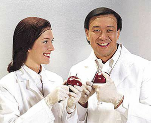 F0588 HAIRNET BLACK UNIVERSAL PK144 by Cellucap