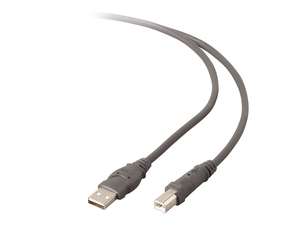 BELKIN PRO SERIES - USB CABLE - USB (M) TO 4 PIN USB TYPE B (M) - 5.9 IN ( USB / USB 2.0 ) - BLACK by Belkin