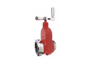 GATE VALVE 2-1/2 IN FNST 2-1/2 IN MNST by Elkhart Brass