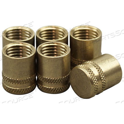 ACCESS VALVE BRASS CAP, 1/4", 6/PK 