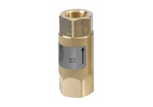 SPRING CHECK VALVE BRASS BUNA SS 1/4 by Mecline