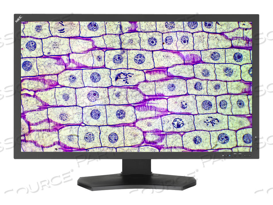 31.5” 8 MEGAPIXEL MEDICAL REVIEW DISPLAY WITH LED 