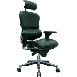 EUROTECH ERGOHUMAN EXECUTIVE HIGH BACK CHAIR - - BLACK LEATHER by Raynor Marketing