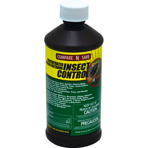 COMPARE-N-SAVE CONCENTRATE INDOOR/OUTDOOR INSECT CONTROL, 32 OZ. BOTTLE by Ragan & Massey Inc.