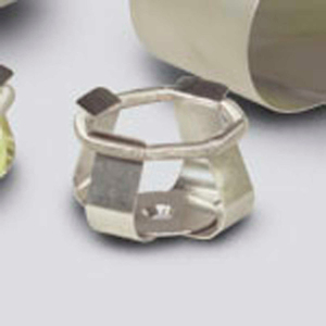 10ML ERLENMEYER FLASK CLAMP, FOR USE WITH MAXQ SHAKER PLATFORMS by Thermo Fisher Scientific (Asheville) 10ML ERLENMEYER FLASK CLAMP, FOR USE WITH MAXQ SHAKER PLATFORMS by Thermo Fisher Scientific (Asheville)
