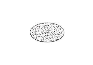 PAD, DOOR INSULATION by Midmark Corp.