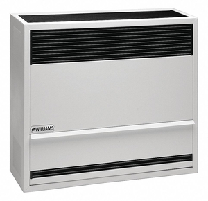 22,000BTU NAT DIRECT VENT FURN by Williams Comfort Products