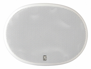 OUTDOOR SPEAKERS WHITE 3-7/16IN.D 80W PR by Poly-Planar