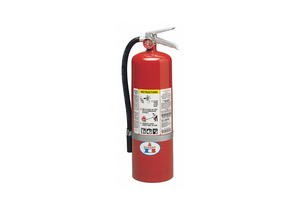 FIRE EXTINGUISHER DRY CHEMICAL 19 IN H by Badger