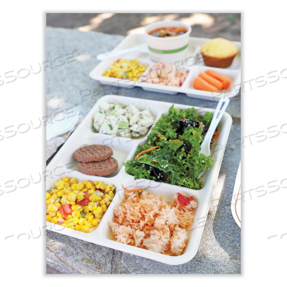 FIBER TRAYS, SCHOOL TRAY, 5-COMPARTMENTS, 8.5 X 10.5 X 1, NATURAL, PAPER, 400/CARTON 