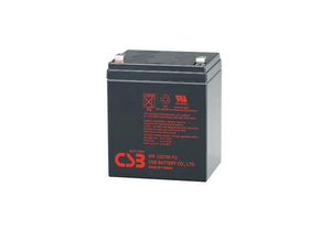 RECHARGEABLE BATTERY, 12 V, SEALED LEAD ACID, 21 W, 0.250 IN TAB TERMINATION, 70 MM X 106 MM X 90 MM, 2 KG by Konica Minolta