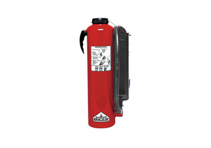 FIRE EXTINGUISHER 10 LB 4A 40B C by Badger