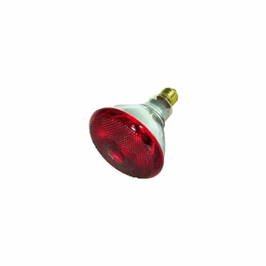 175BR38/HR 175W INCANDESCENT W/ MEDIUM BASE BULB by Satco