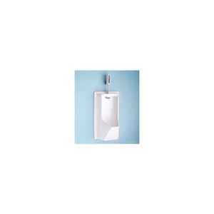 LLOYD URINAL & FLUSH VALVE, SEDONA BEIGE by Toto