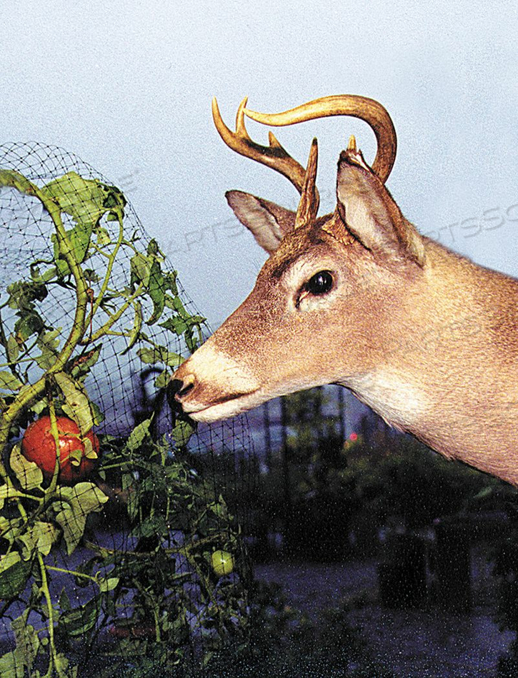 DEER FENCE, 7 FT HT, 350 FT LG, 3/4 X 3/4 IN MESH SIZE, SQUARE, BLACK, POLYPROPYLENE by DeWitt DEER FENCE, 7 FT HT, 350 FT LG, 3/4 X 3/4 IN MESH SIZE, SQUARE, BLACK, POLYPROPYLENE by DeWitt