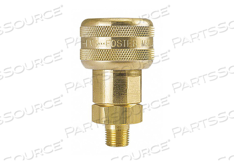 AUTO SOCKET 1/4 MPT BRASS by Foster