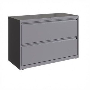 42" WIDE 2-DRAWER LATERAL FILE CABINET - ARCTIC SILVER by Hirsh