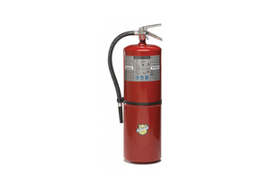 FIRE EXTINGUISHER 10A 120B C 30 LB 28INH by Buckeye