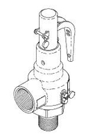 SAFETY VALVE, 0.75 IN NPT, 45 PSI by Getinge USA Sales, LLC