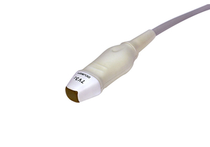 7V3C TRANSDUCER (SEQUOIA) by Siemens Medical Solutions