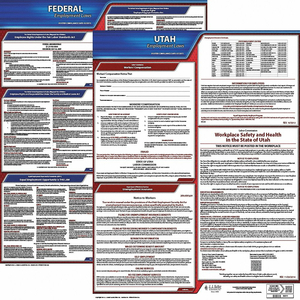LABORLAW POSTER FED/STA UT ENG 20INH 3YR by J.J. Keller & Associates