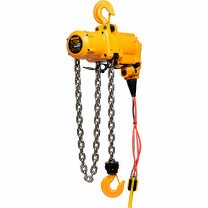 TCL 6 TON LUBE FREE AIR HOIST DOUBLE FALL CORD CONTROL WITH 10' LIFT & CHAIN CONTAINER by Harrington